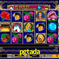pgtada Rio de Janeiro - Bonus Terms